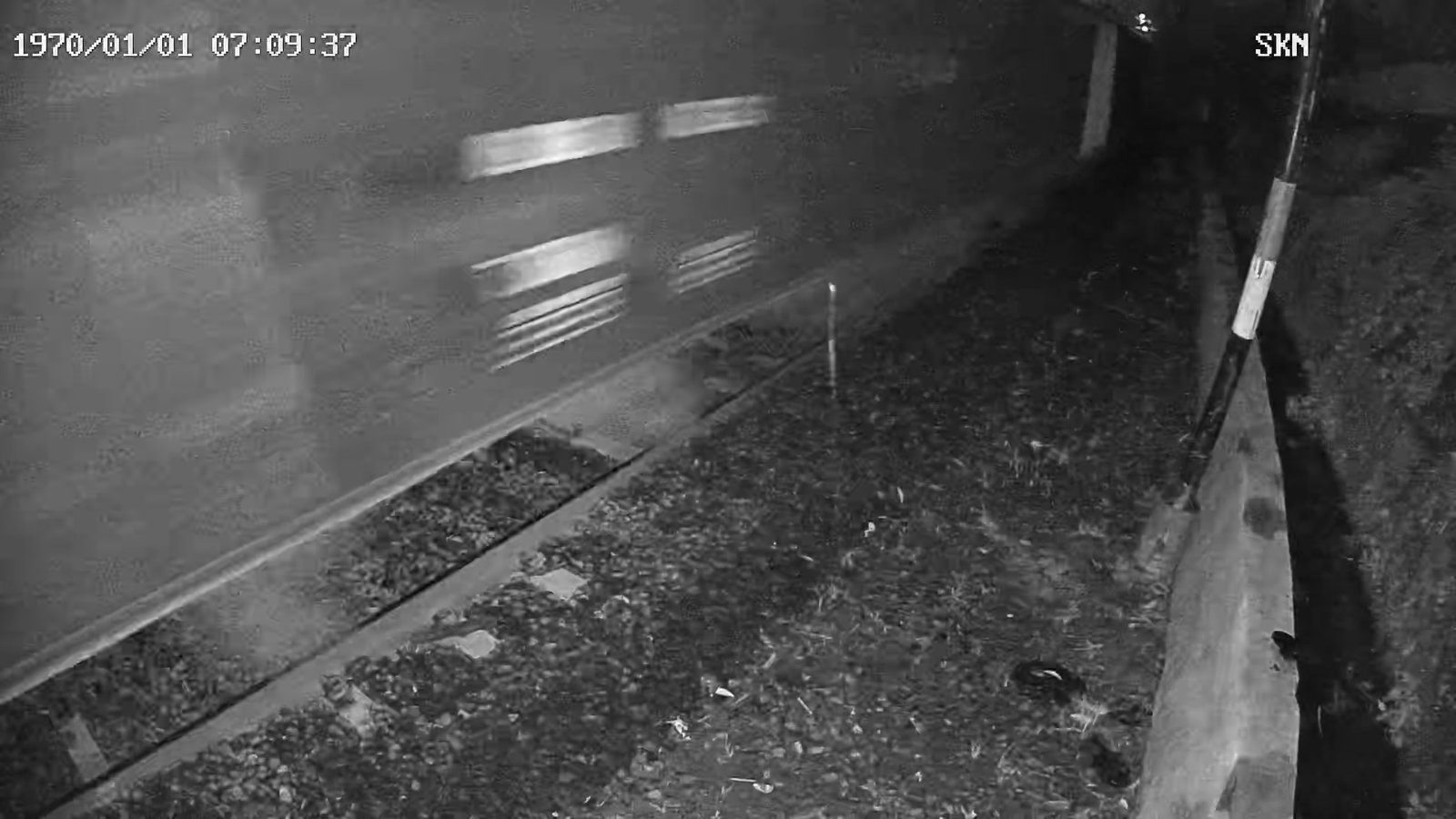 2026-03-03 21:14:21.jpg